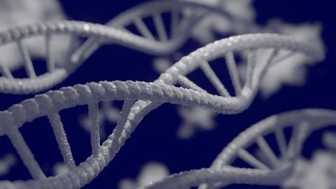 Mapping Epigenetic Information in Single Cells