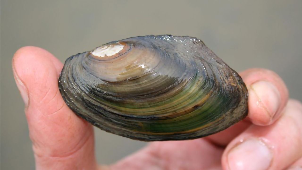 Conservationists at High Risk of Accidentally Spreading Disease