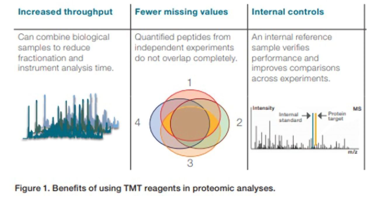 Next-Generation Reagents for Increased Sample Multiplexing