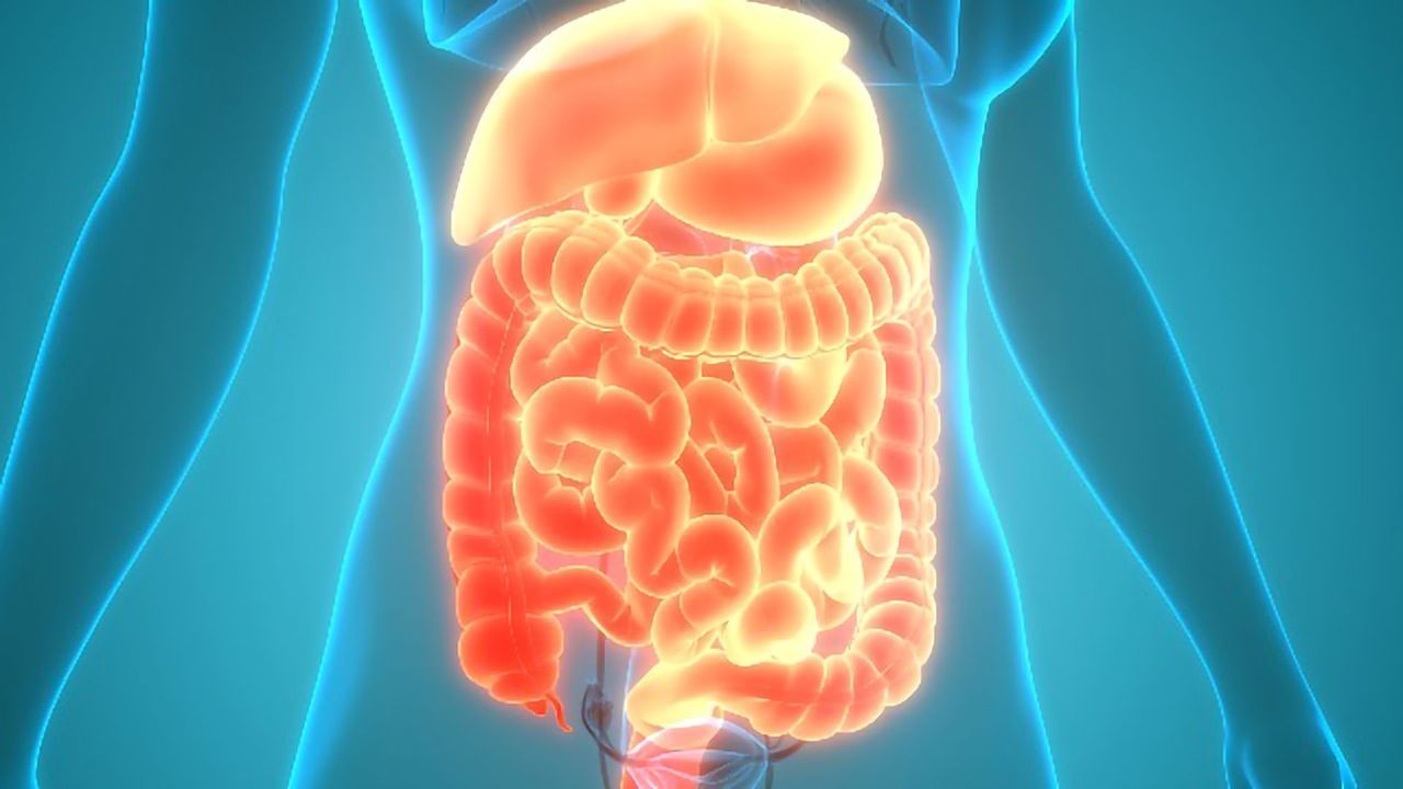Ingestible Technologies for Diagnosis of Gastrointestinal Disorders