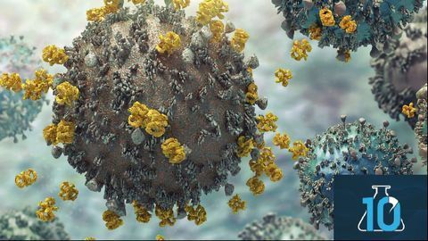 Structural Biology Goes Viral With Dr Albert Konijnenberg