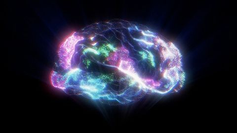 Beast Machines and Hallucination Networks: Anil Seth Discusses Consciousness at BNA 2021