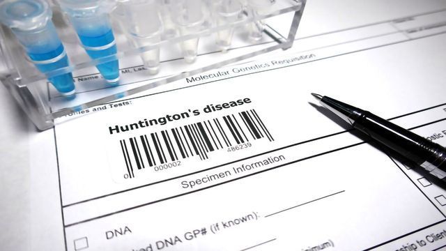 Minipig Study Tests Gene Therapy for Huntington's Disease | Technology ...