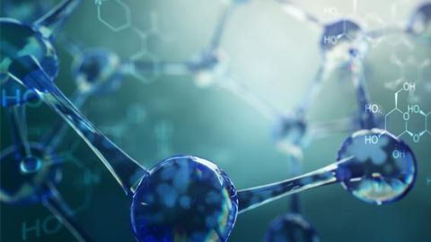 Fragment Screen Points to New SARS-CoV-2 Inhibitors