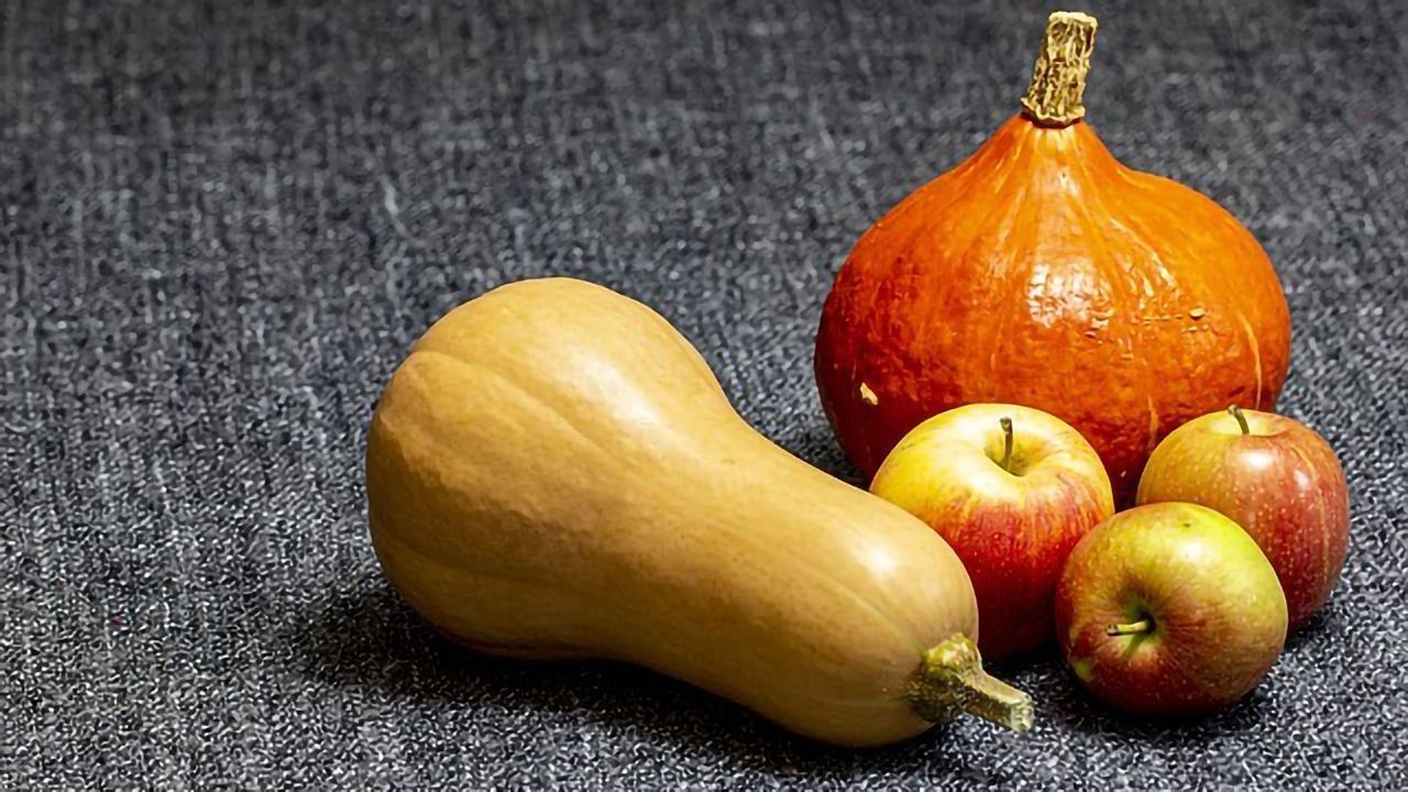 Plant Microbiomes Important for Healthy Crops