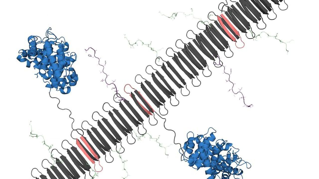 Nanomaterials Activates the Immune System To Fight Inflammation