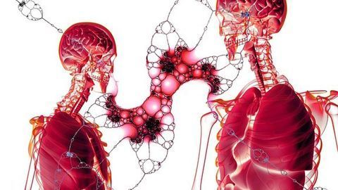 Genetic Engineering Explores How Cell Fate Is Determined in the Head