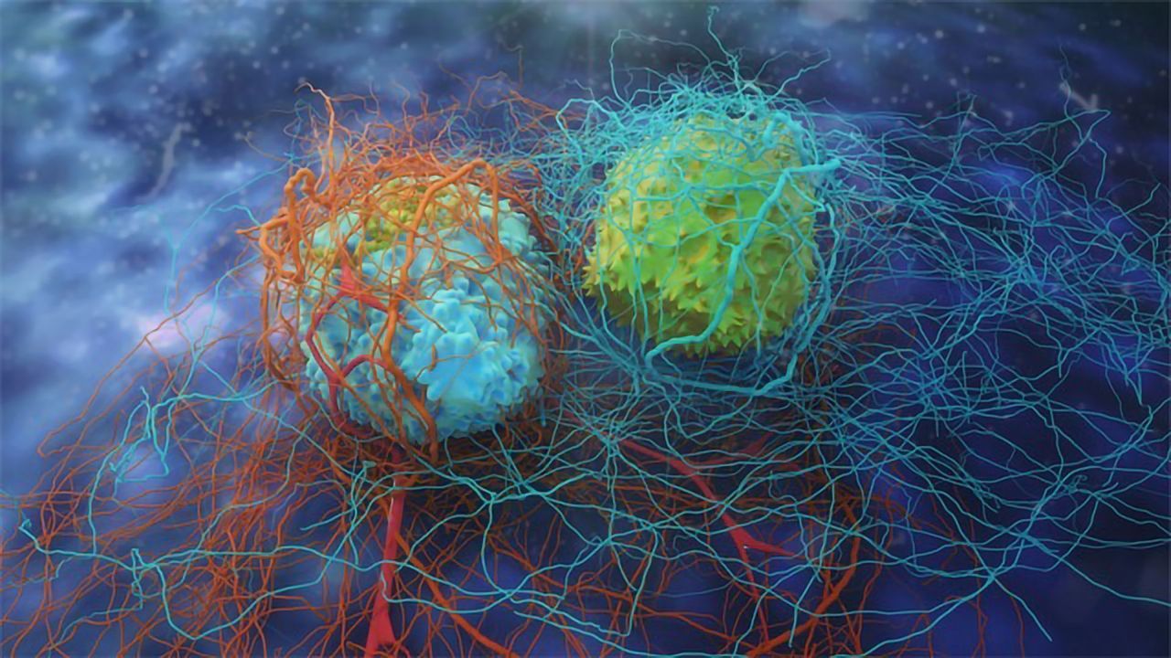 Cancer Drug Discovery: A Molecular Journey to Targeted Treatment