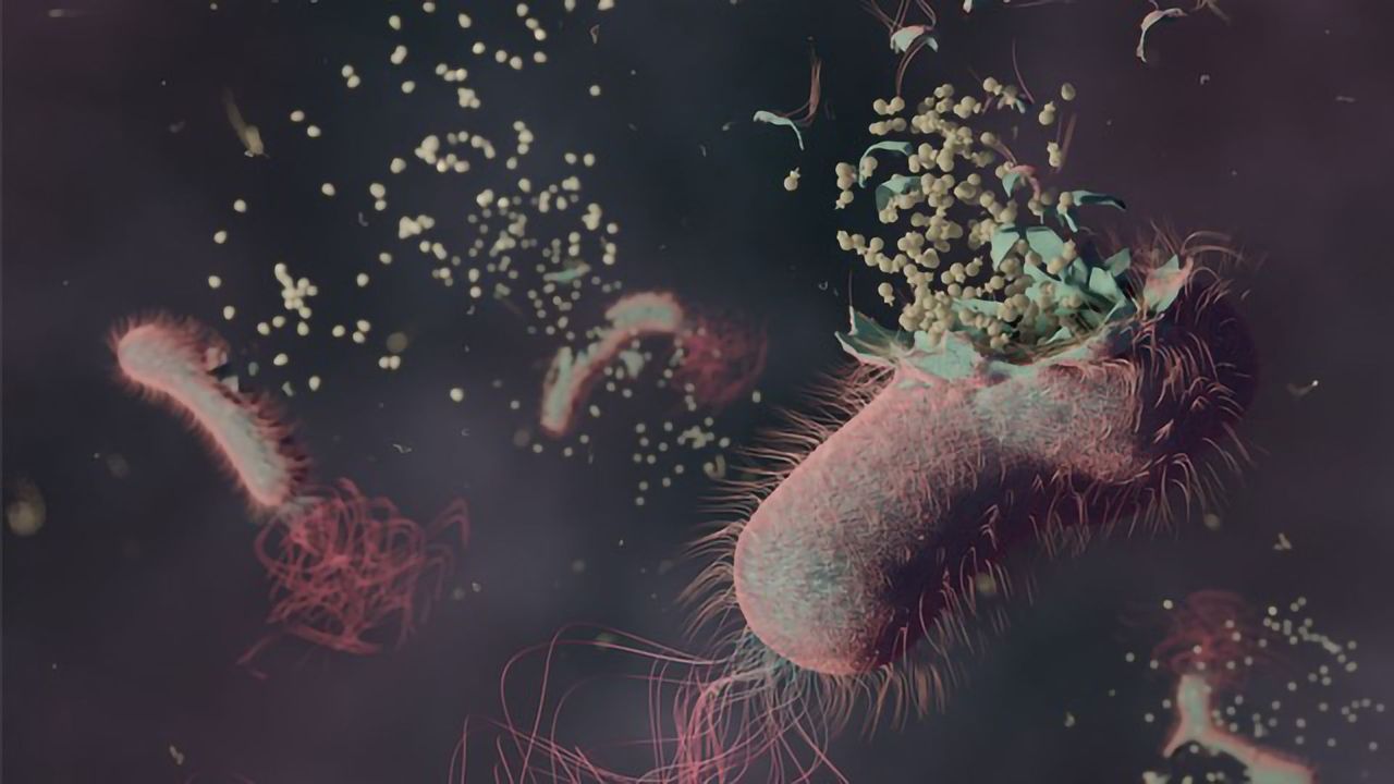 Scientists Demonstrate Technique that Could Accelerate Phage-Therapy Diagnosis