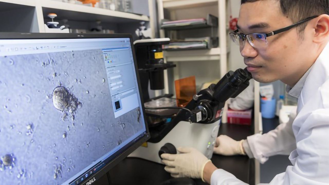 Super-Enhancers That Switch on Breast Cancer Genes Discovered