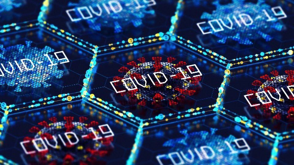 An In-Depth Look at SARS-CoV-2 Evolution content piece image