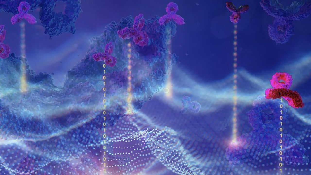 Optimizing Antibody Drug Development With Machine Learning