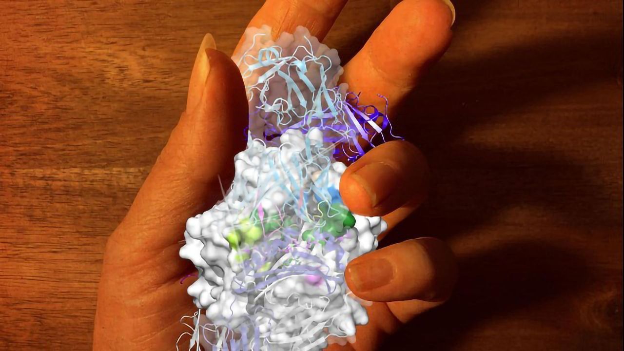 Improved Understanding of Damaging Immune Response in Rheumatoid Arthritis