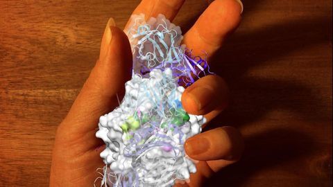 Improved Understanding of Damaging Immune Response in Rheumatoid Arthritis