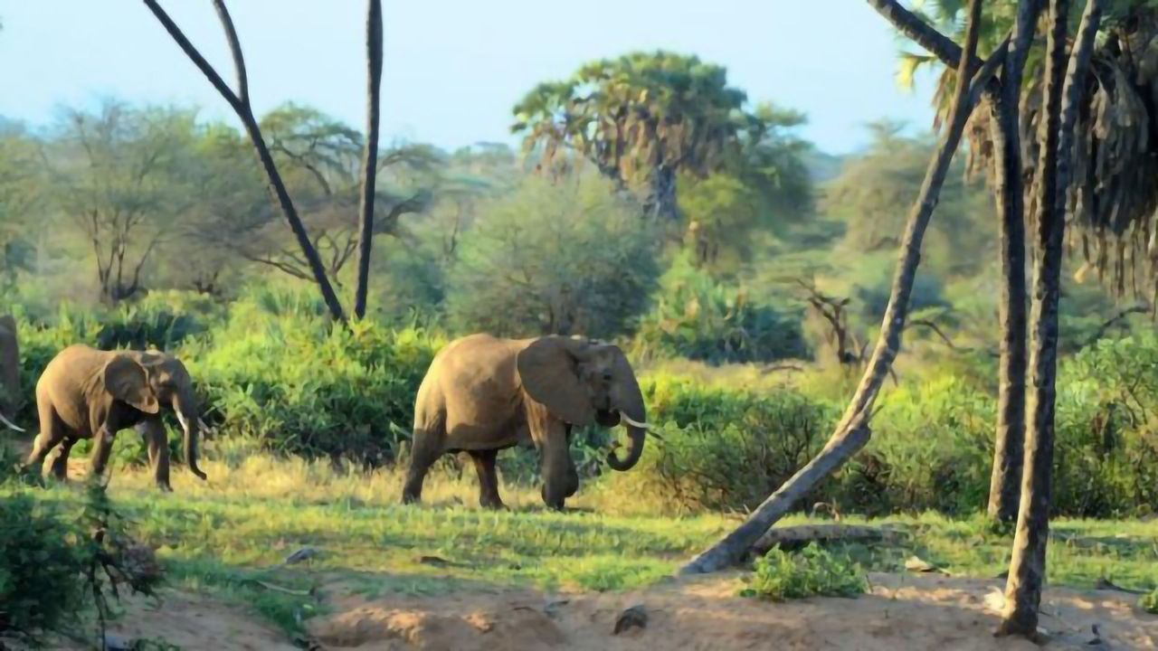 Climate and Human Land-Use Change Will Impact Genetic Diversity