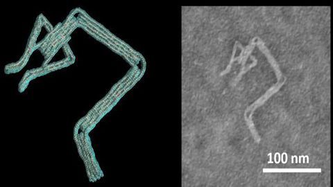 Computer Software Designs DNA “Robots” in Minutes