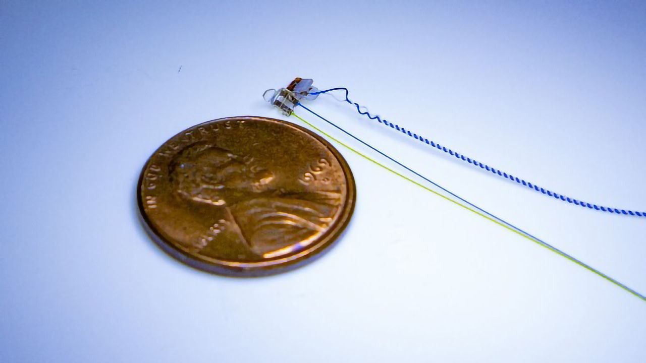 Long-Term Vagus Nerve Implant Is World First for Bioelectronic Medicine