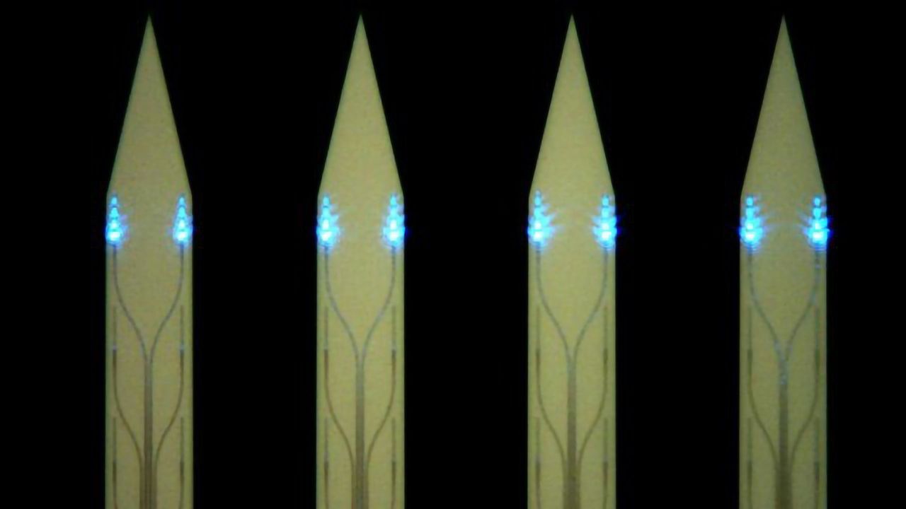 Tiny Brain Implants for Light-Sheet Imaging Developed