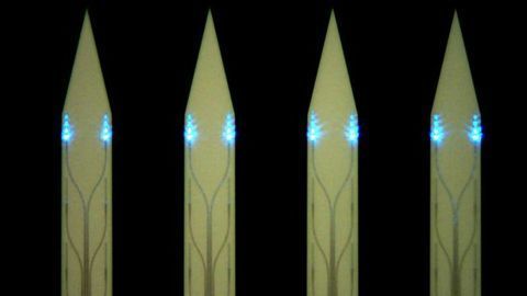 Tiny Brain Implants for Light-Sheet Imaging Developed