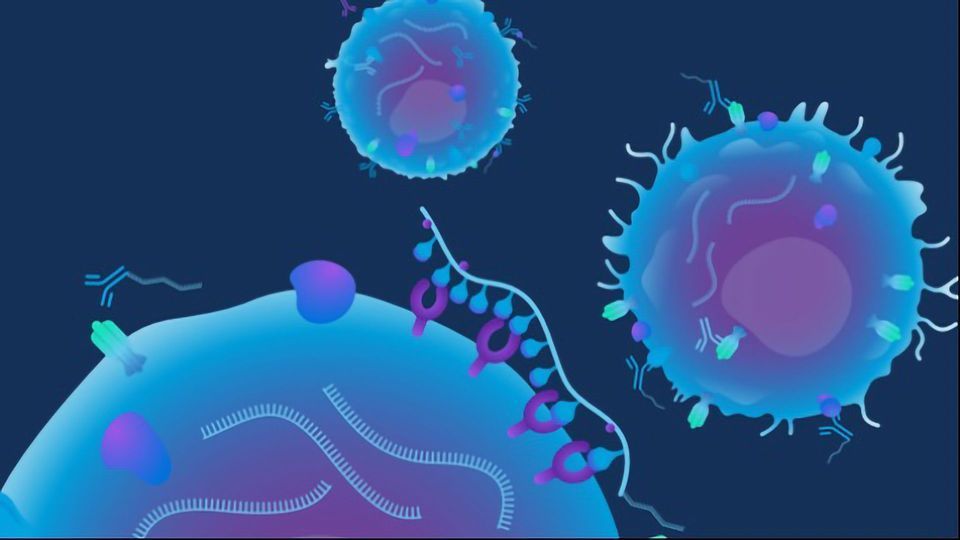 The Essential Guide to Multiomic Single-Cell Immunology content piece image