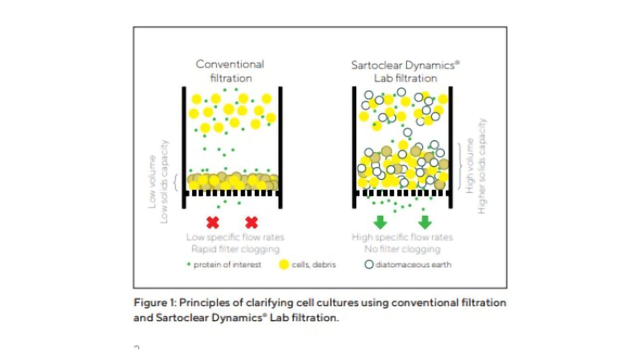 Rapid Mammalian Cell Harvest Without Centrifugation for Antibody Purification