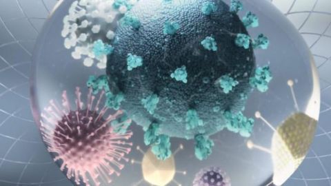 All-in-One Test for SARS-CoV-2 Detection and Surveillance Developed