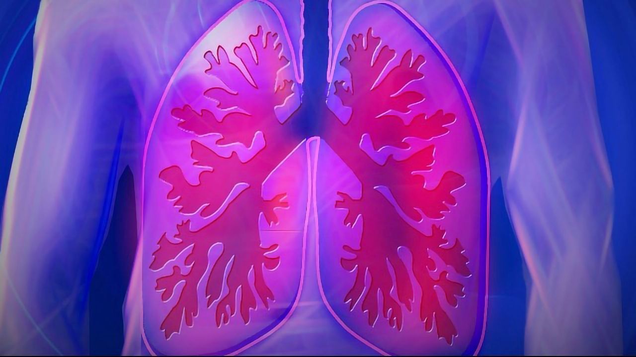 Research Reveals Distinct Types of Cells That May Be Involved in Breathing-Related Diseases in Infants