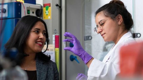 Antisense Therapies Developed To Counter Multidrug-Resistant Bacteria