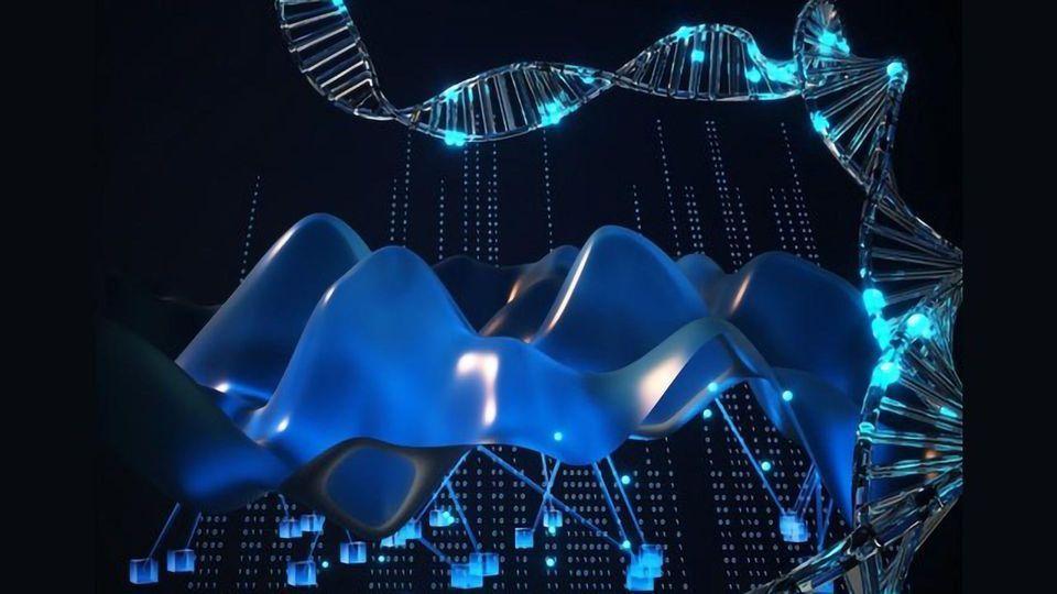 DNA Methylation Code Analyzed To Identify Causes of Cancer content piece image