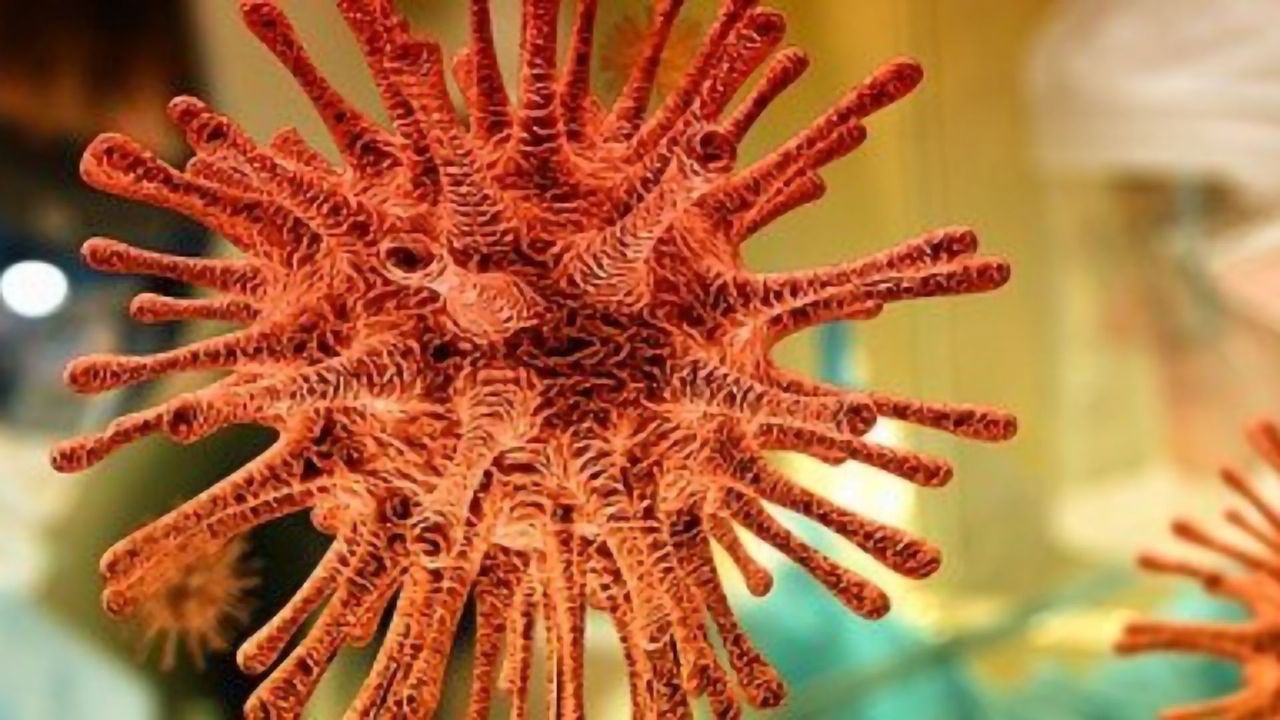 COVID Sweat Sensor Catches Your Immune System Before It Goes Berserk