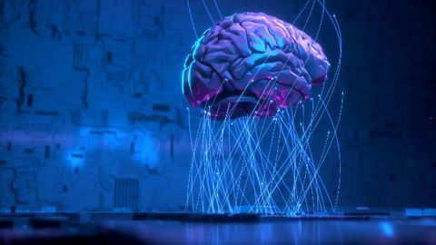 Why a Brain-on-a-Chip Would Need Little Training