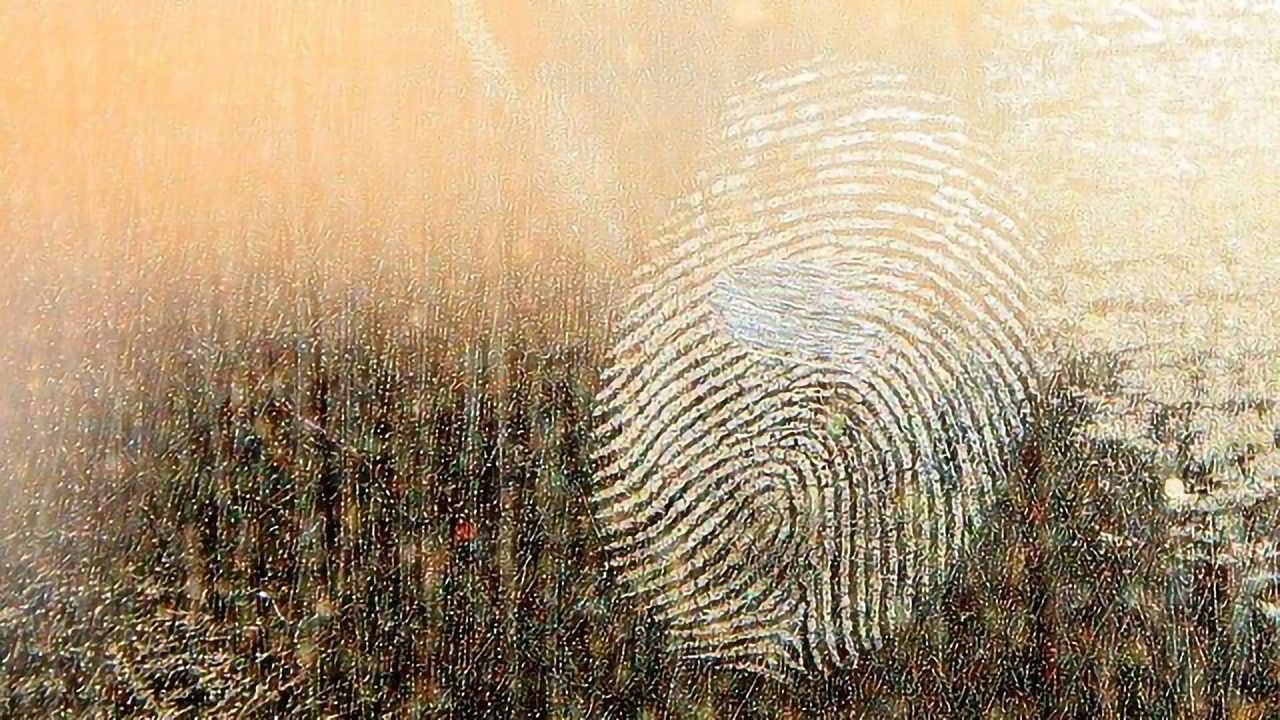 Invisible Bloodied Fingerprints Revealed