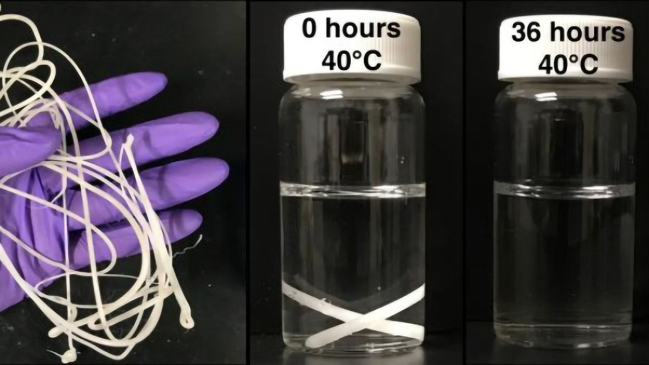 Making Plastic Truly Biodegradable
