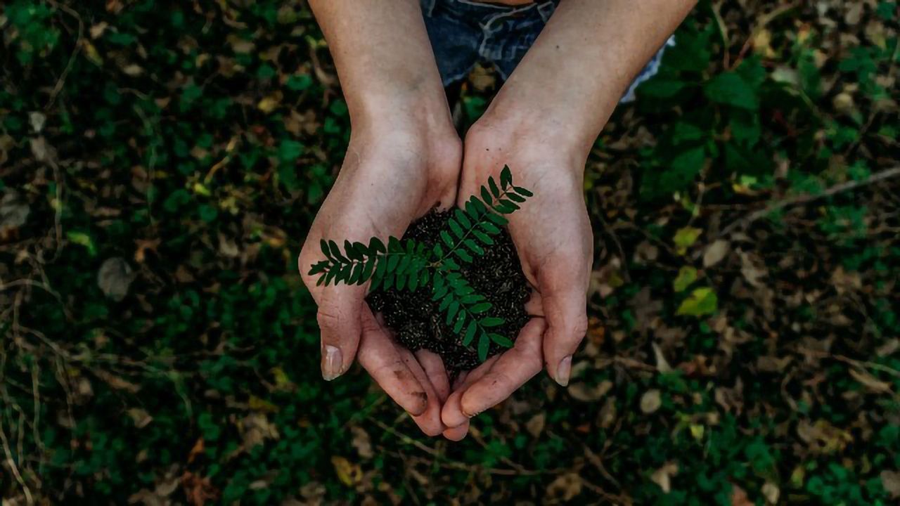 Scientists Argue for Combination of Organic Farming and Genetic Engineering