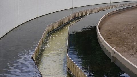 Membrane Enables Complete Removal of Heavy Metals From Wastewater