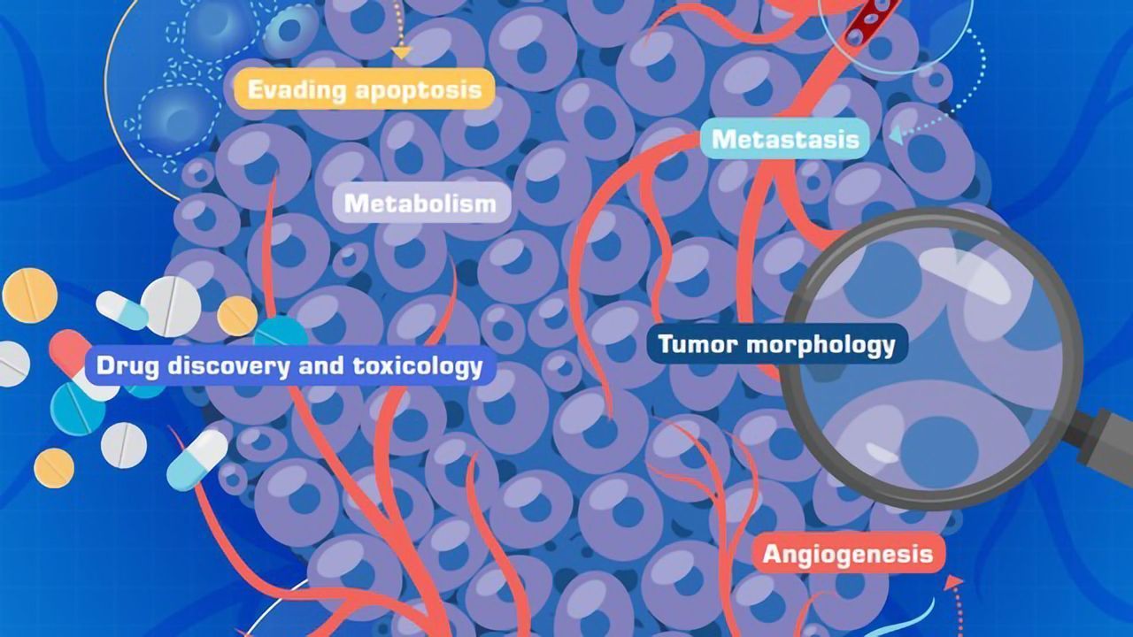 Culturing Cells for Cancer Research