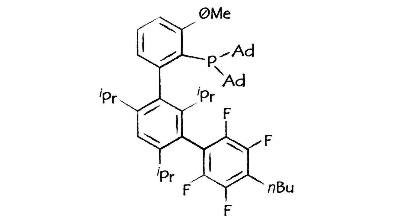 Sinocompound Expands Range With New Buchwald Ligands and Precatalysts