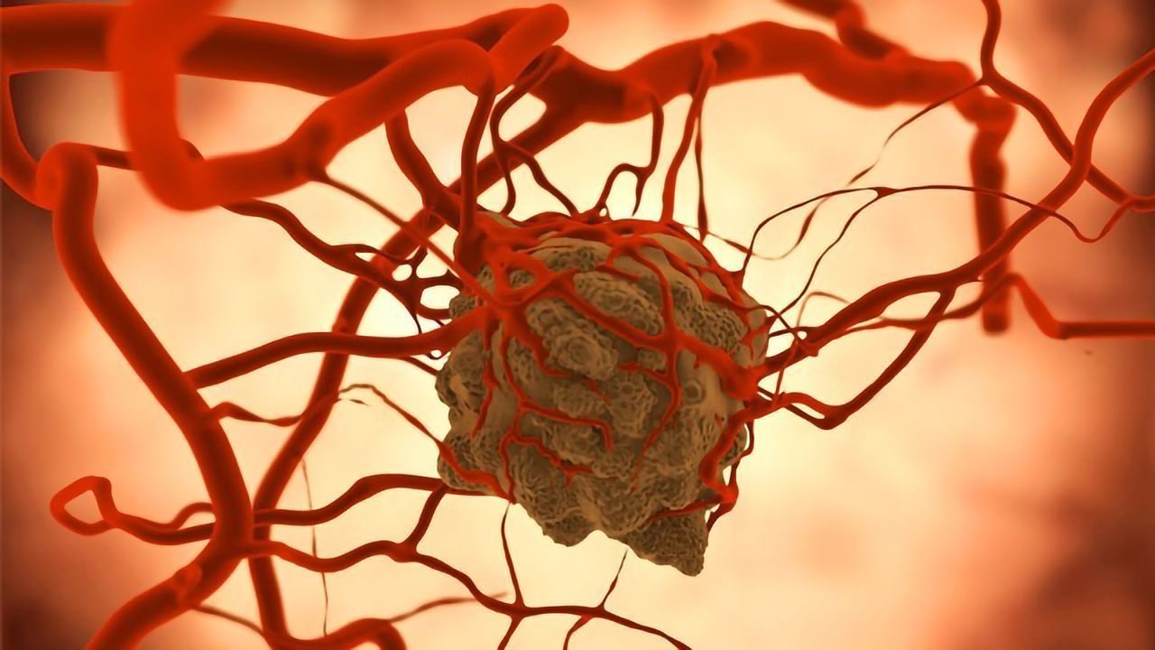 Team Discovers How the Signaling Molecule SHP2 Triggers Cancer