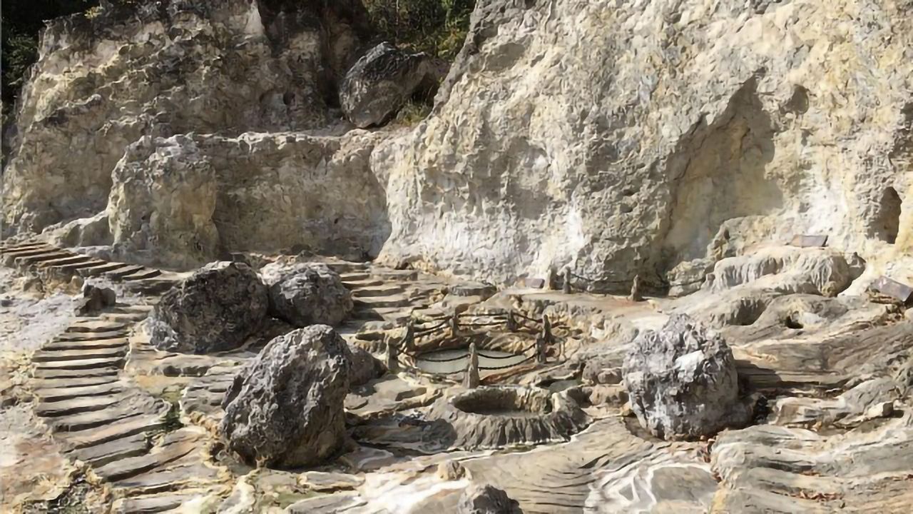 Important Microbes Found That Breakdown Decaying Plants Without Releasing Methane