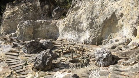 Important Microbes Found That Breakdown Decaying Plants Without Releasing Methane