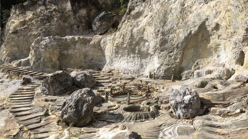 Important Microbes Found That Breakdown Decaying Plants Without Releasing Methane content piece image