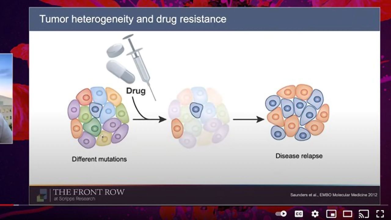 Mapping the Secret Complexity of Tumors To Defeat Aggressive Cancers