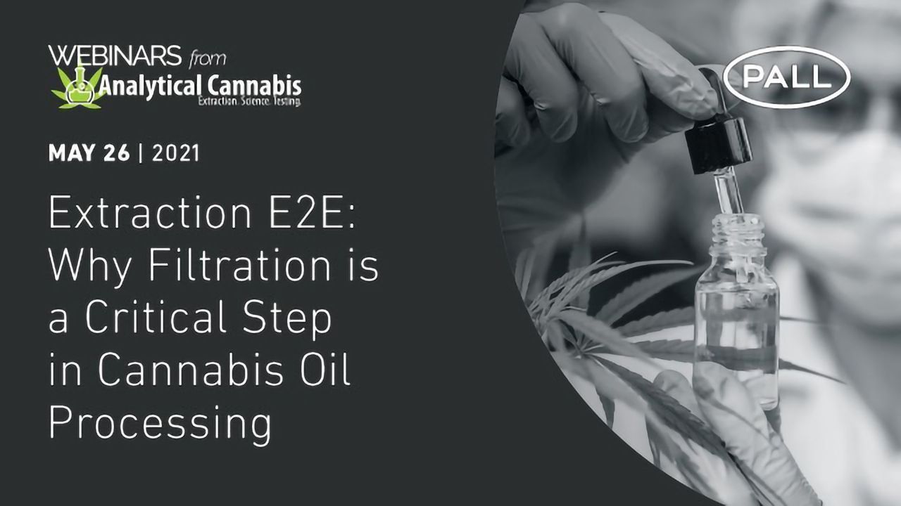 Extraction E2E: Why Filtration is a Critical Step in Cannabis Oil Processing