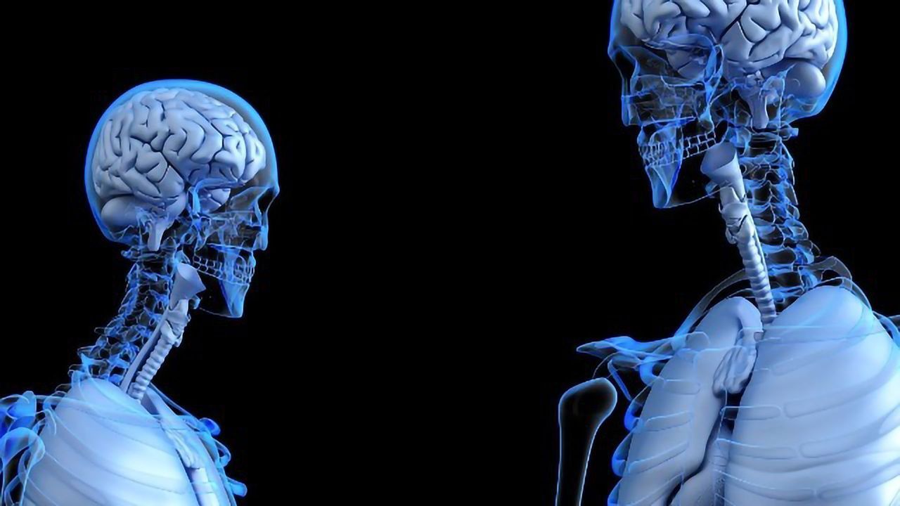 Skin and Bones Repaired by Bioprinting During Surgery