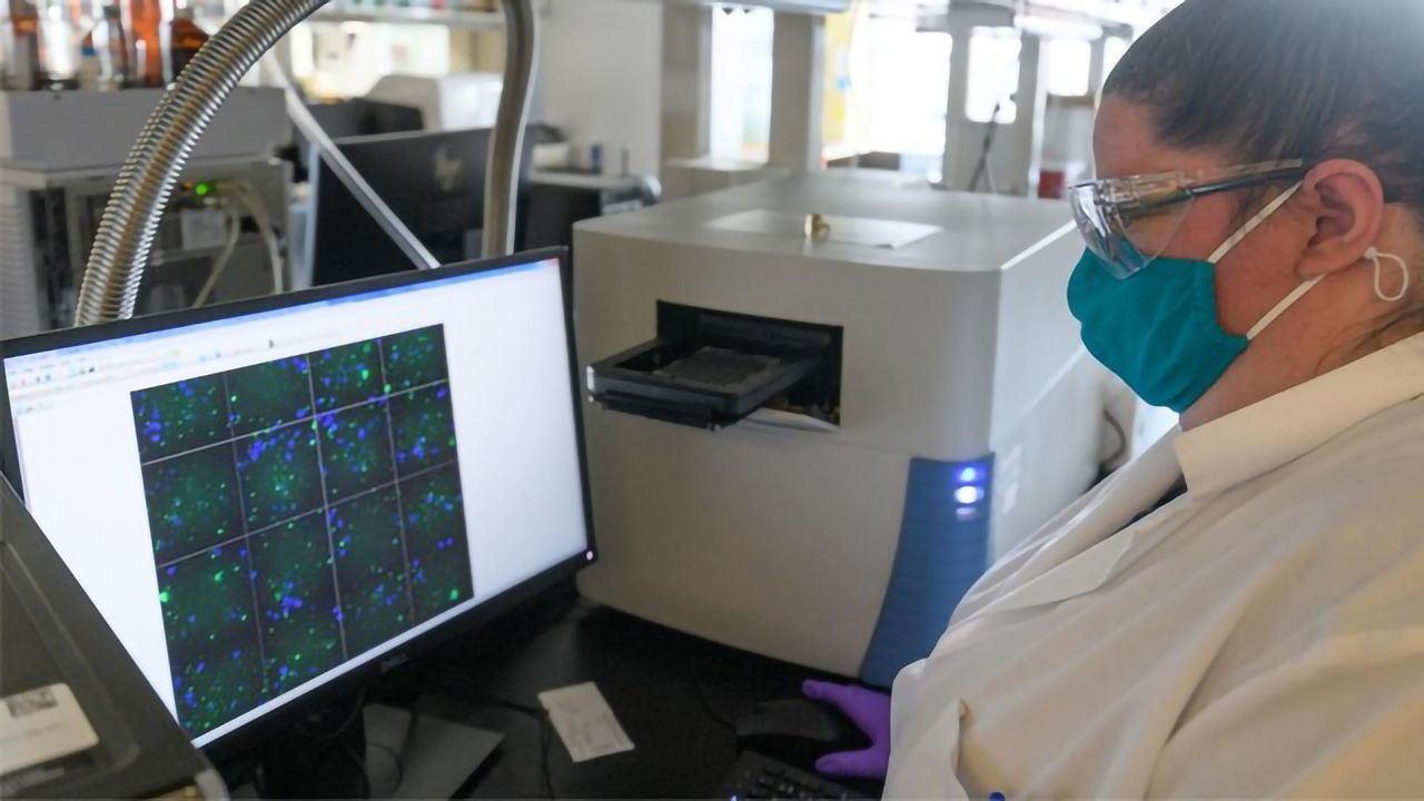 Drug Synthesized From Kentucky-Grown Plant Kills Ovarian Cancer Cells