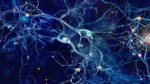 Imaging Techniques Could Help Predict Disease Course of Multiple Sclerosis