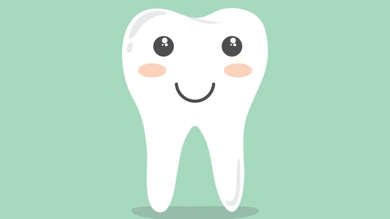 Single-Cell Atlas of Human Teeth Created