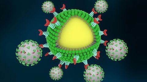 "Nanotraps" Designed To Catch and Clear Coronavirus