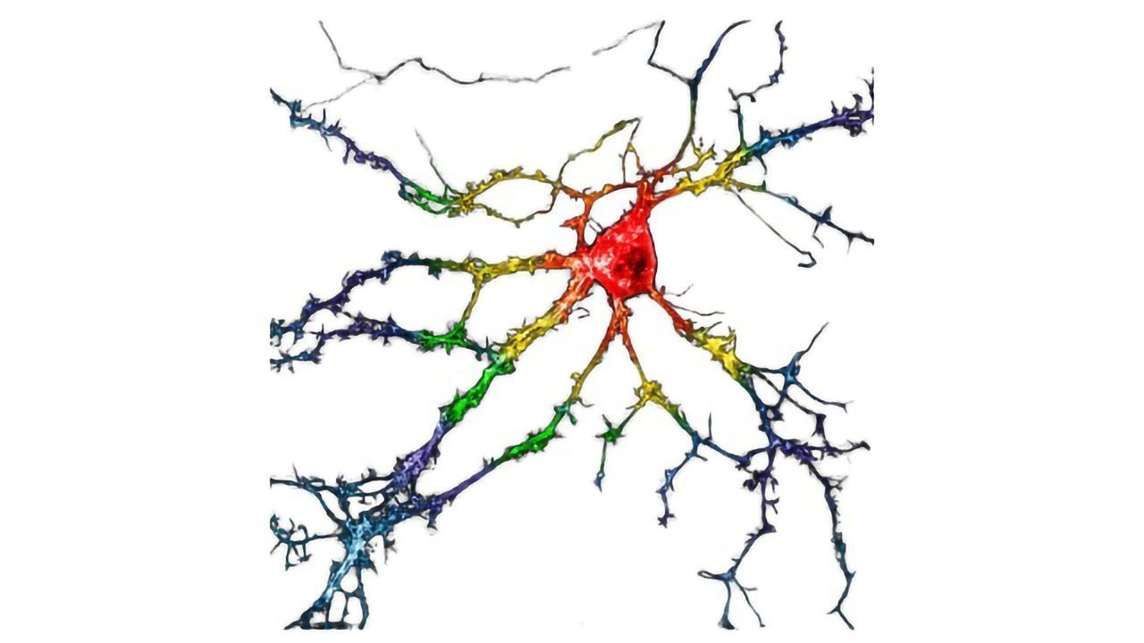 Drug-Finding Tool Identifies Psychedelic-Like Compound That Is Hallucination-Free