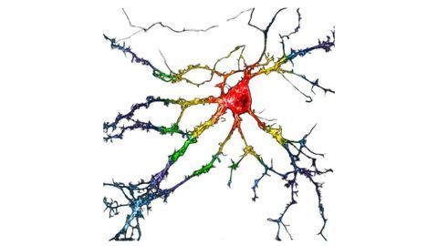 Drug-Finding Tool Identifies Psychedelic-Like Compound That Is Hallucination-Free